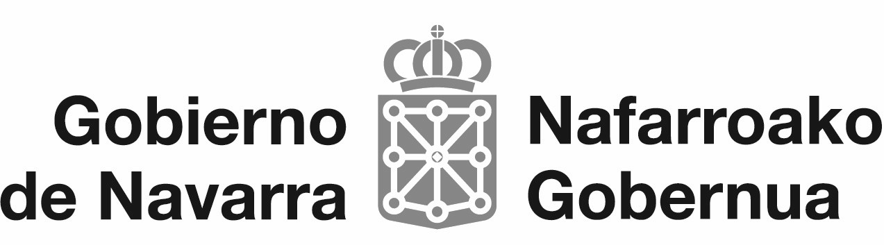 Nafarroako Gobernua